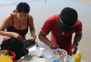 En la Ruta del Sol puedes saborear un ceviche de espondilus (Concha Gigante) hecho en el momento