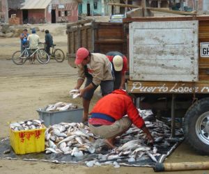 Puerto Lopez, puerto pesquero tradicional y lugar de partida para el buen avistamiento de ballenas