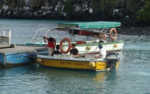 El Taxi-Barco es uno de los medios usuales para moverse entre hotles y desde los barcos turísticos