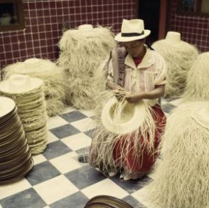 Una gran oferta artesanal. En la foto actividad de fabricación de los sombreros Panama, oiginales de Ecuador